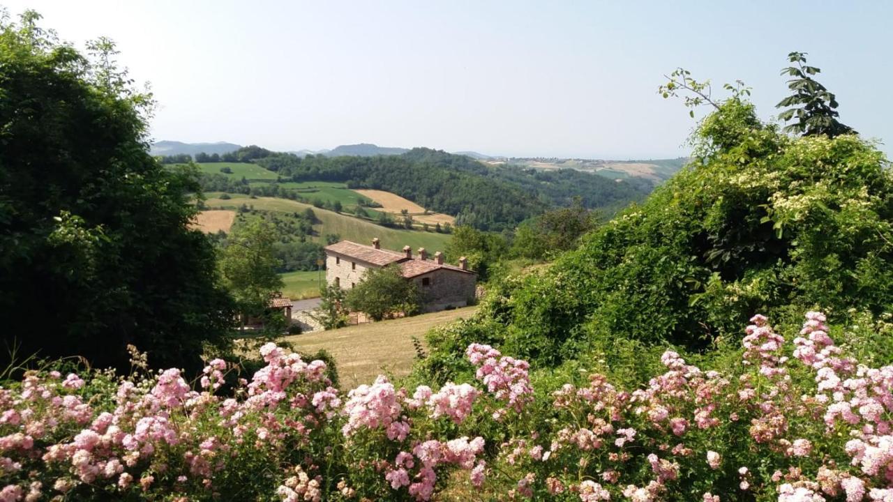 Bed and Breakfast Ca' Nova à Valverde  Extérieur photo